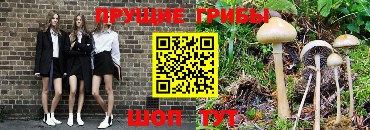 Когалым  Галлюциногенные грибы ЛСД  магазин    Вход с VPN 
